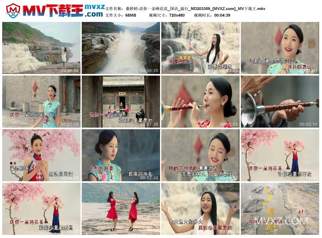 桑婷婷-送你一朵呐花花_国语_流行_MD203359